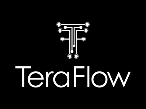 TeraFlow Logo